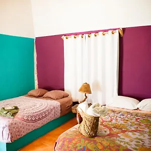 https://nacional-beach-club-bungalows.quintano-roohotels.com